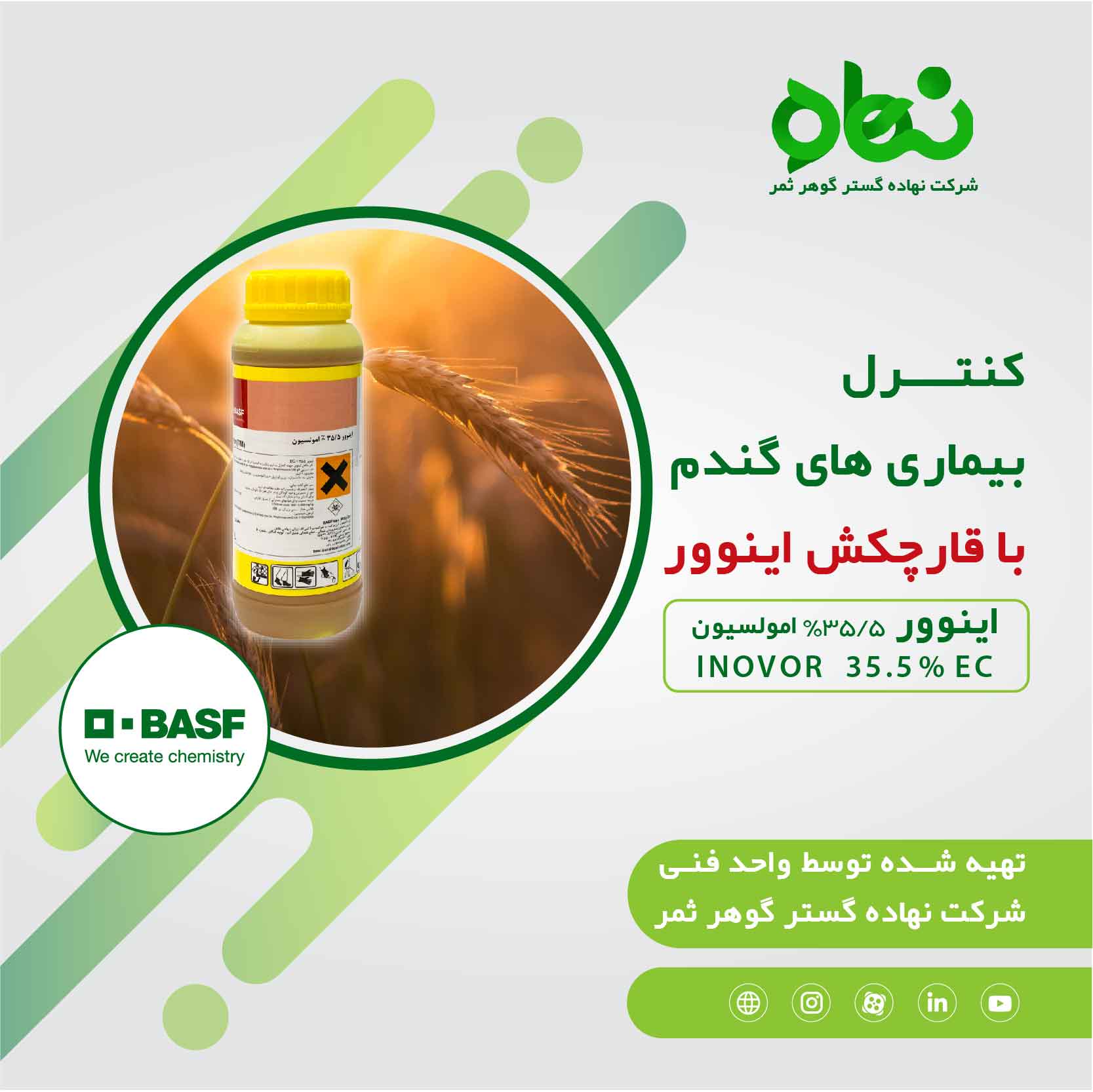 Control of wheat diseases with Inovor fungicide